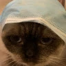 vladoolka Avatar