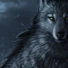 you cef Avatar