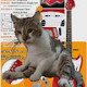 Bomba Gatito Avatar