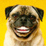Korevko Avatar