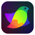 Amadine Icon