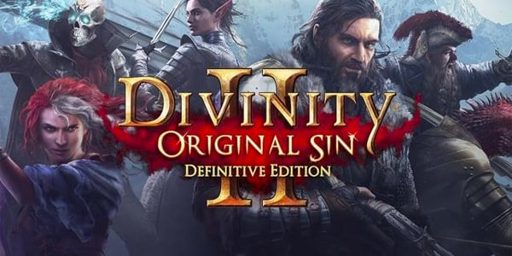 Divinity: Original Sin 2 Cover