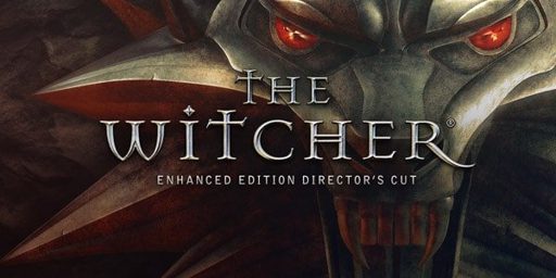 The Witcher Cover