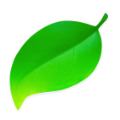 Coda 2 Image