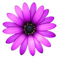 TextMate Icon