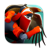 The Pathless Icon