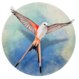 Wingspan Icon