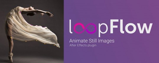 loopFlow Cover