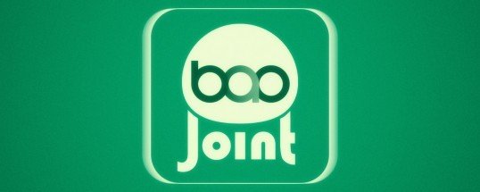 BAO Joint Cover