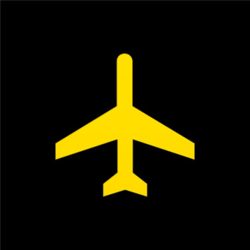 Airport CEO Image