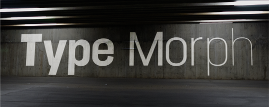 Type Morph Cover