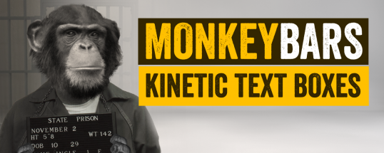 MonkeyBars Cover