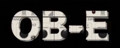 GForce Software Oberheim OB-E Icon