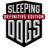 Sleeping Dogs Icon