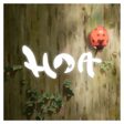 Hoa Icon