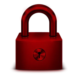 USB Lock Icon