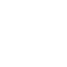 Flat Eye Image