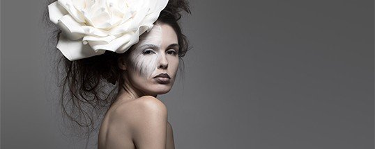 Imagenomic Professional Plugin Suite For Adobe Photoshop Cover