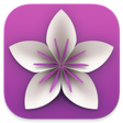 Vellum Icon