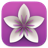 Vellum Icon