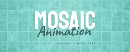 Mosaic Animation Cover
