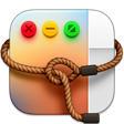Lasso Icon