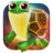 Way of the Turtle Icon
