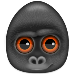 Debookee Icon