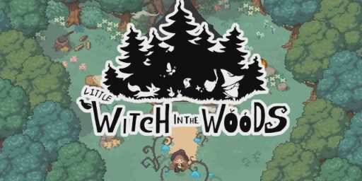 Little Witch in the Woods Cover