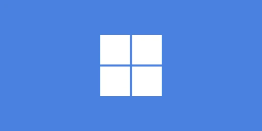 Windows 10/11 Pro Cover