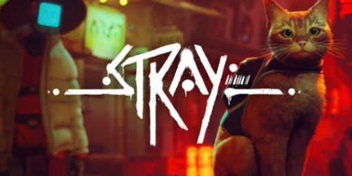 Stray Cover