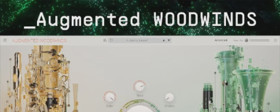 Arturia Augmented WOODWINDS Icon