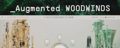 Arturia Augmented WOODWINDS Icon