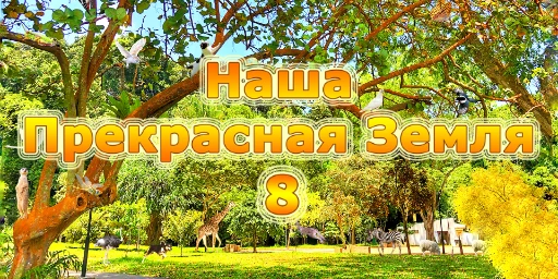 Наша прекрасная Земля 8 Коллекционное Издание Cover