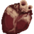 Wrought Flesh Icon