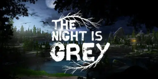 The Night is Grey Cover