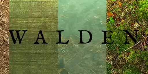 Walden, a game Cover