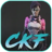 Cyber Knights: Flashpoint Icon