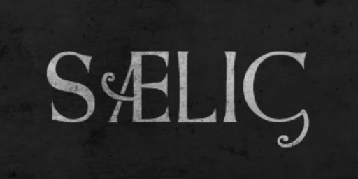 SAELIG Cover