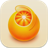 Squash Icon