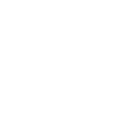Liftoff: Micro Drones Icon