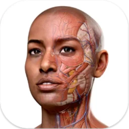 Complete Anatomy Image
