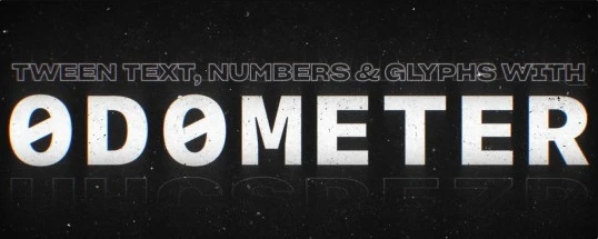 Odometer Cover