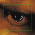 FACEMINER Icon