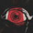 YOUR HOUSE Icon