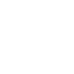 Haste Icon