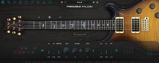Ample Sound Ample Guitar PF Cover