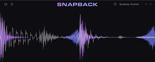 Cableguys Snapback Cover