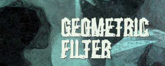 Geometric Filter Cover