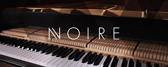 Native Instruments Noire KONTAKT Cover